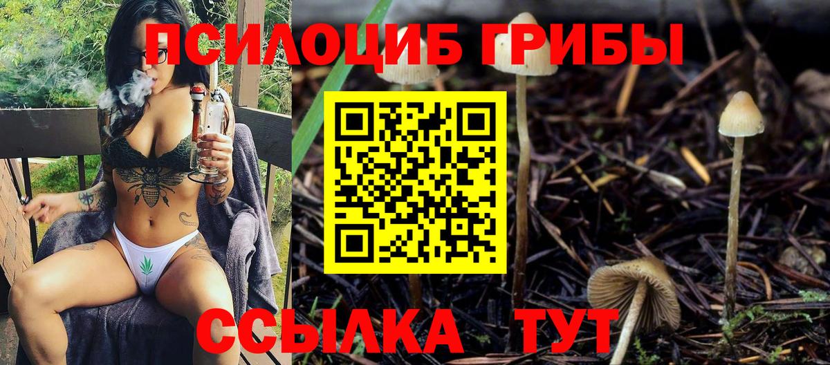 Чебаркуль  Галлюциногенные грибы мицелий  Галлюциногенные грибы мухоморы  Вход с VPN 